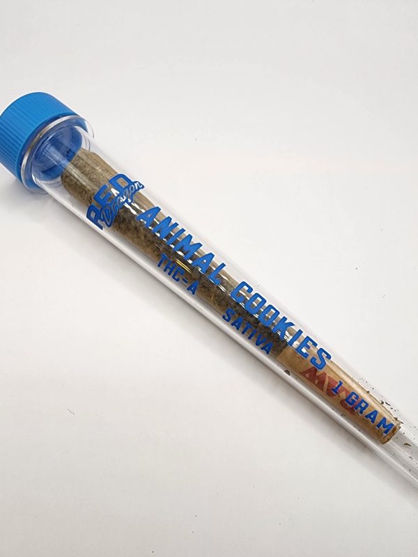 Animal Cookies Sativa Preroll — Single